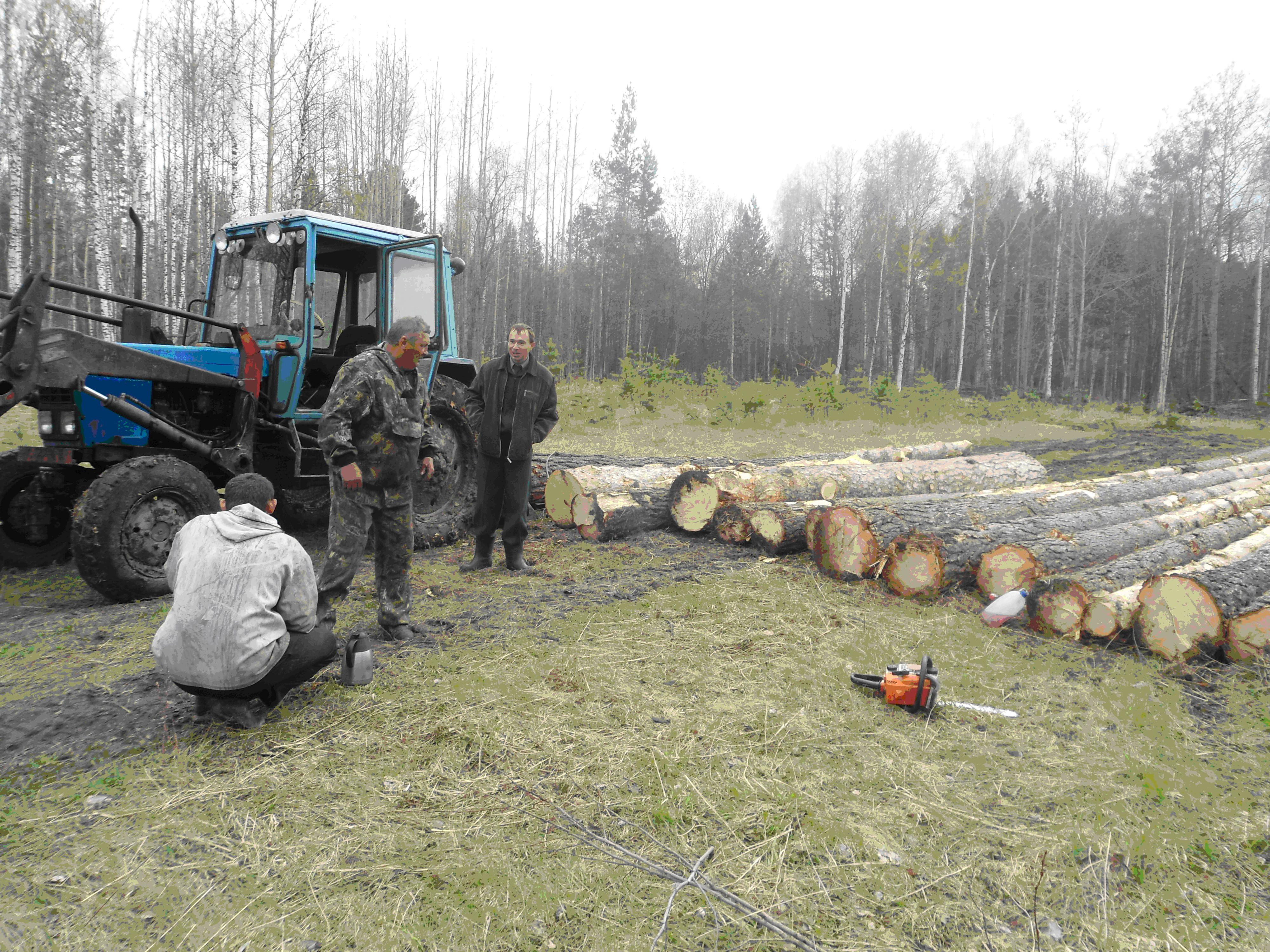 Гороховецкое лесничество